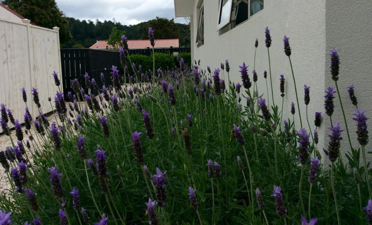 Coromandel Apartments Kültér fotó